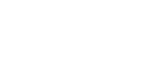 2N intercoms Logo