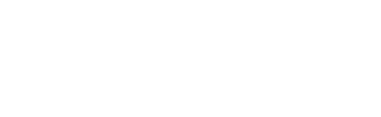 Appian Logo