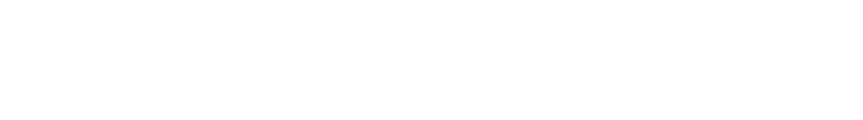 BNP Paribas ECN Logo