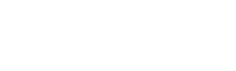 Boomi Logo