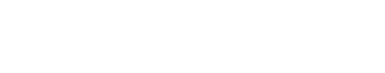 Brady printers Logo