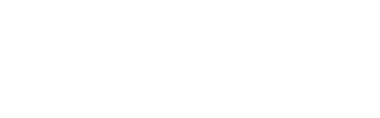 Brinqa 12X / BrinqaDL Logo