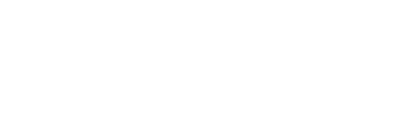 Cisco Duo Logo