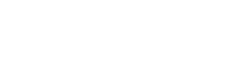 F5 BIG-IP, NGINX Logo