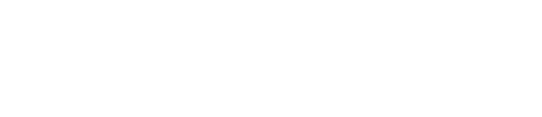 Fidelity Logo