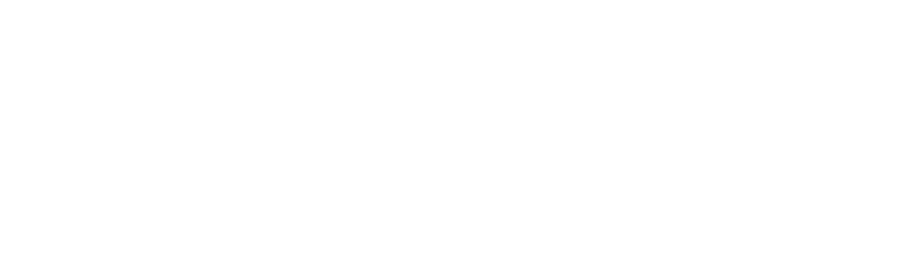 Fortis payments Logo