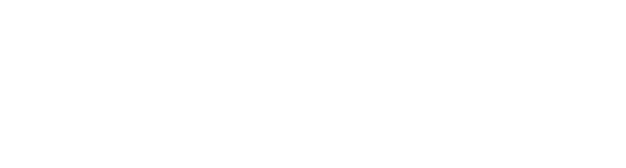 IDology Logo