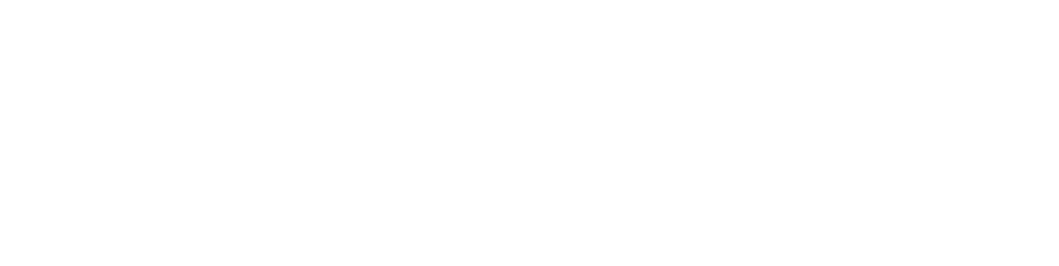 IGV Logo