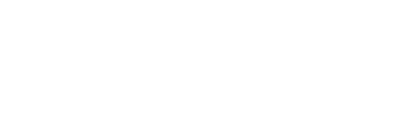 Interactive Data 7Ticks Logo