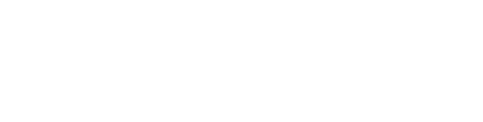Intruder Logo