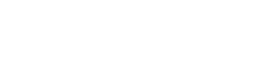 ION Endur Logo