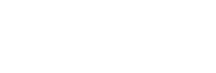 Ionic Logo