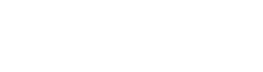 LanguageLine Solutions Logo