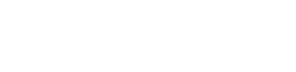 MetaSystems Logo