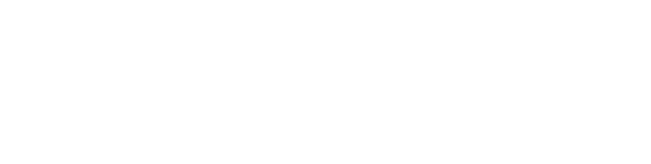 .NET / C# Logo