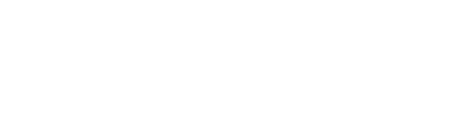 NetApp AFF / FAS Logo