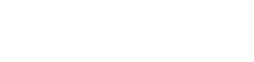 NetAsset Logo