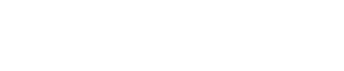 Netlink STP Logo