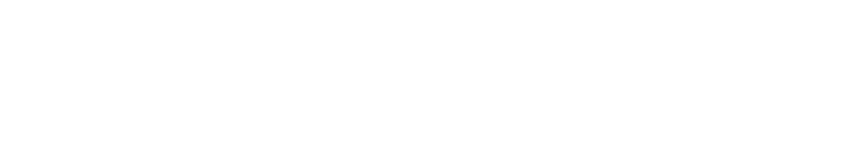 New Relic Logo