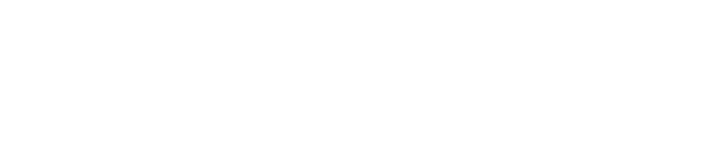 NovoPath Logo