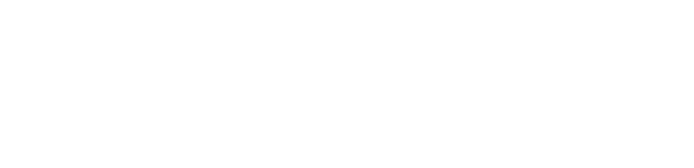 OpenZFS Logo