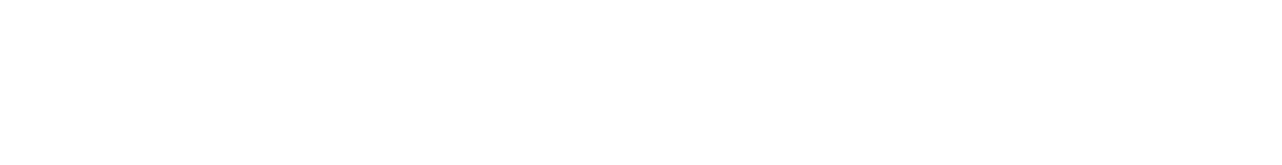 Palo Alto Networks Logo