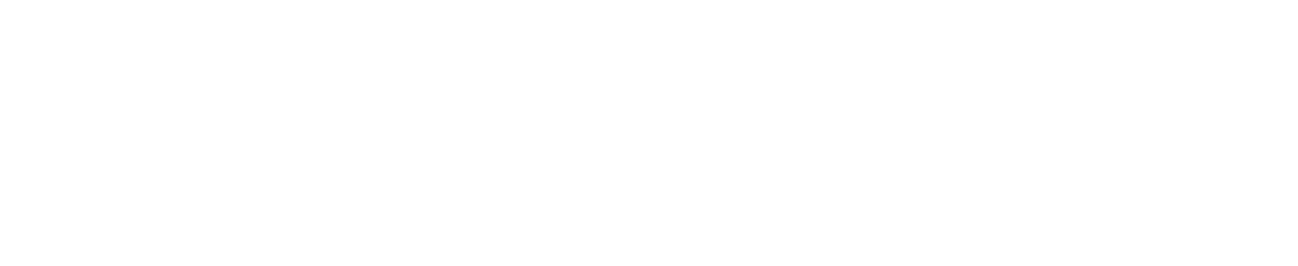 PCI DSS v4.0.1 Logo