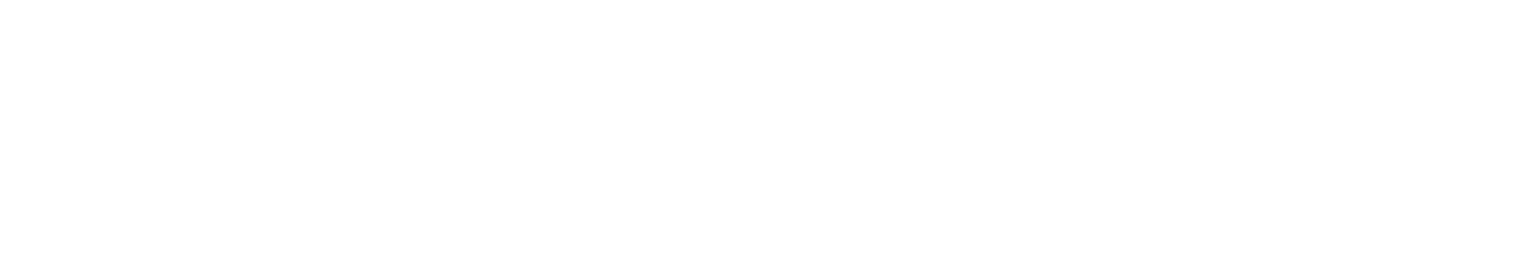 Ping Identity Logo