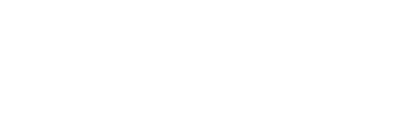 Python Logo