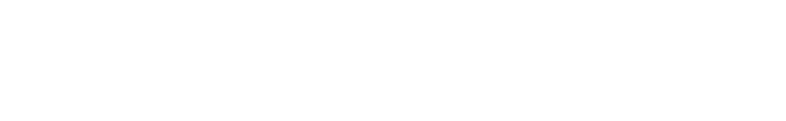 Sapio FileBridge, webhooks, custom components Logo