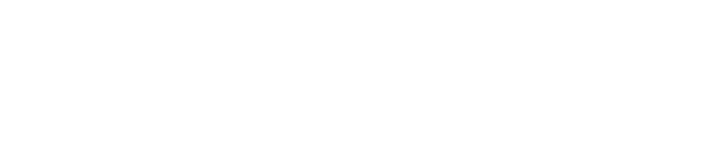 Snowflake Logo