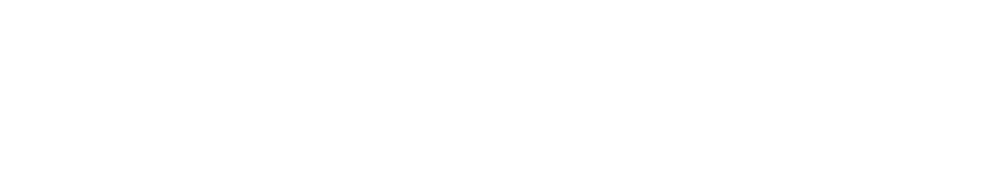 SonicWall Logo