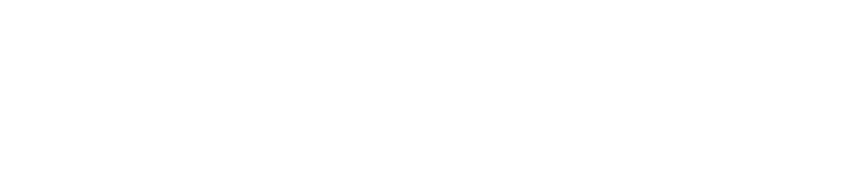 SOX controls Logo