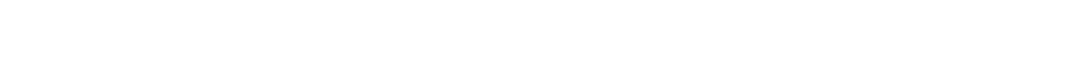 Terranova Security Logo