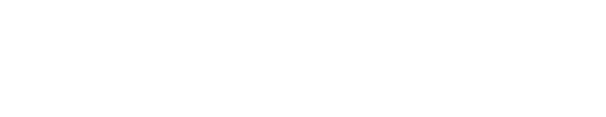 VAST Data Logo
