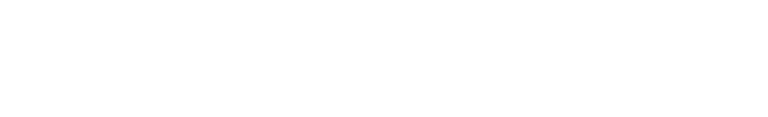 Windows Server Logo